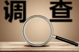 陆河工资清欠服务