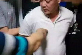 陆河企业清欠服务