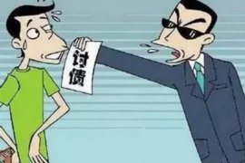 陆河融资清欠服务